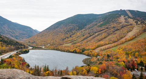 fall foliage at canon mountain