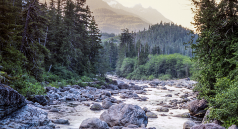 river scene